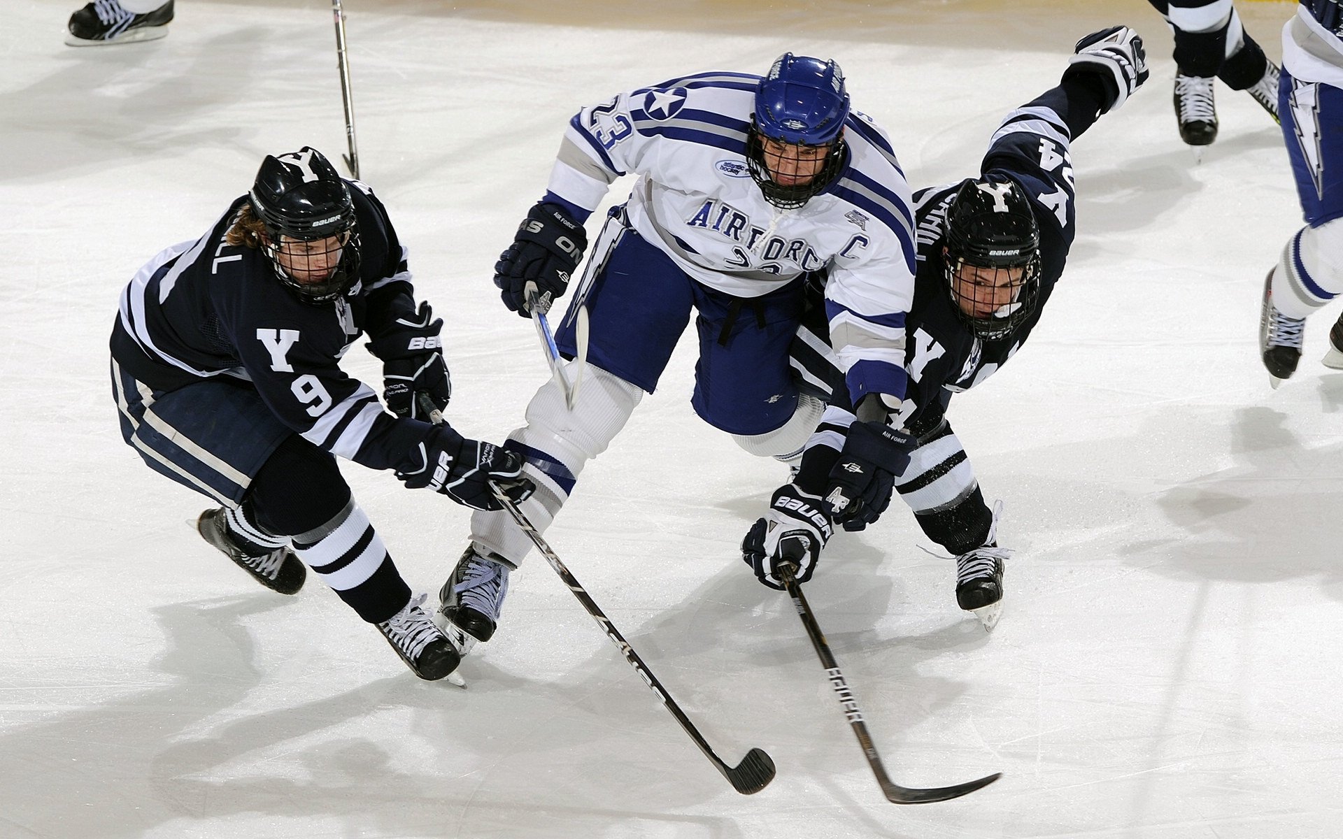 公牛攻防兼备，连胜势头延续，公牛几连胜